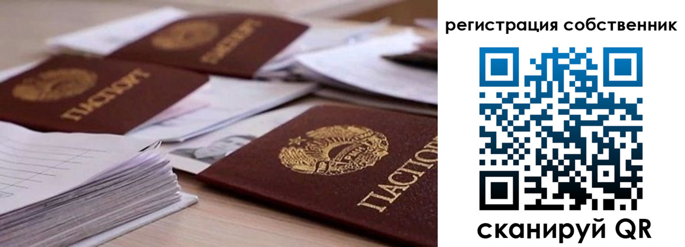 прописка штамп в Могочи